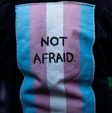 a trans flag with the words "Not Afraid" written in the middle